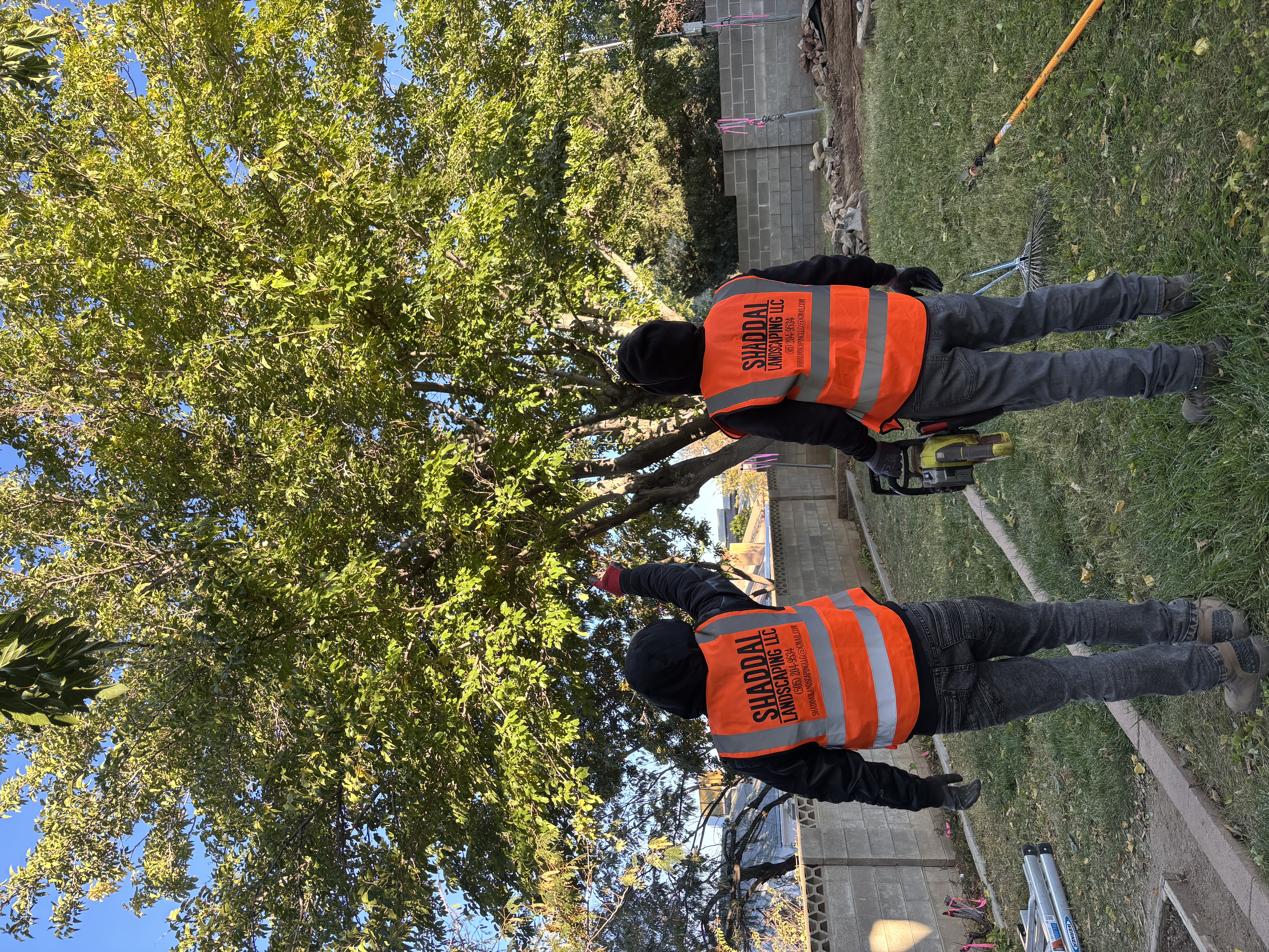 Shaddai Landscaping LLC crew on a residential project in Albuquerque